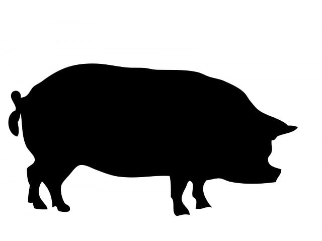 Pork